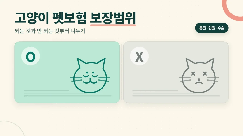 고양이 펫보험 보장범위 대표 이미지