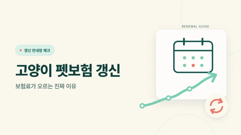 고양이 펫보험 갱신 썸네일