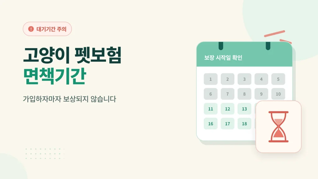 고양이 펫보험 면책기간 대표 이미지