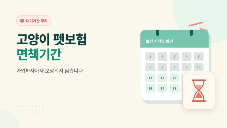 고양이 펫보험 면책기간 썸네일
