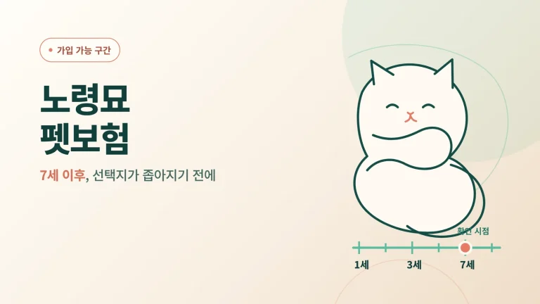노령묘 펫보험 썸네일