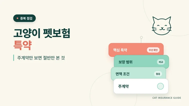 고양이 펫보험 특약 썸네일